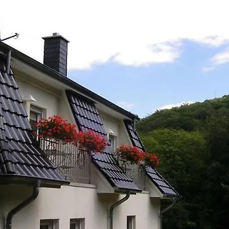 Apartment Weisses-haus-am-kurpark-fewo-waldblick