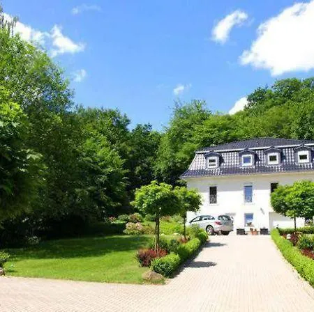 Weisses-haus-am-kurpark-fewo-waldblick