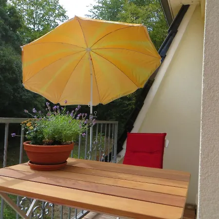 Apartament Weisses-haus-am-kurpark-fewo-waldblick *