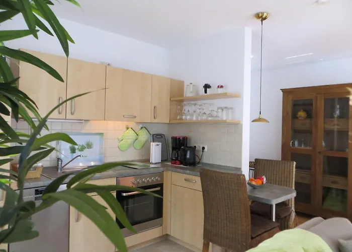 Weisses-haus-am-kurpark-fewo-waldblick *