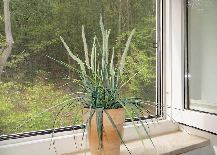 Weisses-haus-am-kurpark-fewo-waldblick Lejlighed *