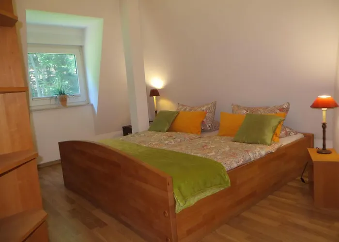 Weisses-haus-am-kurpark-fewo-waldblick